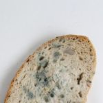 Chleb spleniay