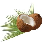 sennik  kokos